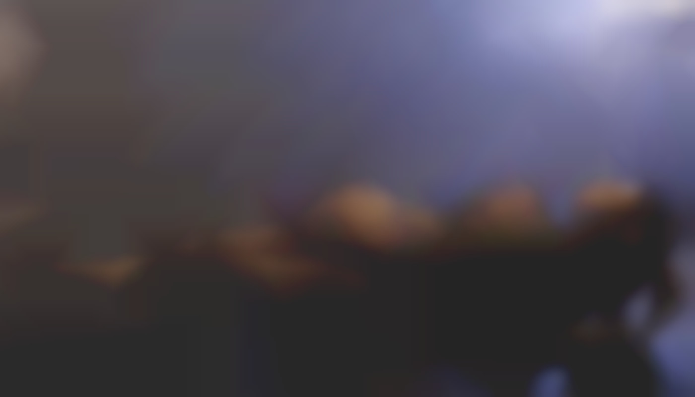 How To Choose The Right Subscription Platform For Exclusive Content?